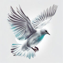 Wall Mural - there is a white bird flying in the sky with its wings spread