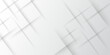 © Kainat  - Elegant abstract background with grey lines with shadow. modern abstract gray line light dynamic shape composition background. Gray and white geometric background with copy space. , Modern design.