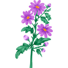 Wall Mural - Flower floral Clipart element Illustation style