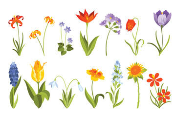 Wall Mural - Spring flowers icon set. Different floral elements in watercolor. Symbol for designing greeting cards or invitations. Vector illustration