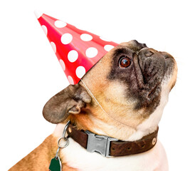 Poster - Pug dog png, birthday party hat in transparent background