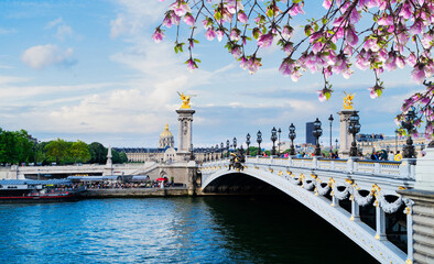 Canvas Print - Paris landmark - famouse Alexandre III Bridge over Seine at blue dusk, Paris, France