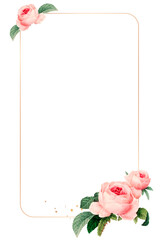 Canvas Print - Pink cabbage rose pattern on a gold frame design element