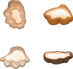 Canvas Print - Collection of four stylized oyster mushroom illustrations with a soft, dimensional aesthetic