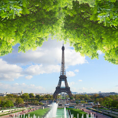 Wall Mural - eiffel tour from trocadero hill, paris, france