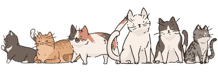 Wall Mural - adorable cats png, transparent background