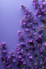 Wall Mural - Summer lilac and purple flowers background. abstract soft floral background