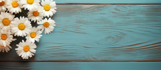 Poster - daisy flowers on bright wood table. Creative banner. Copyspace image