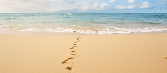 Wall Mural - Footprints in the sand on a beach. Creative banner. Copyspace image