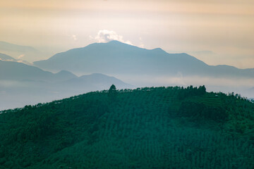 Wall Mural - Misty Morning View of Kodaikanal Hills in Tamil Nadu, India During Sunrise