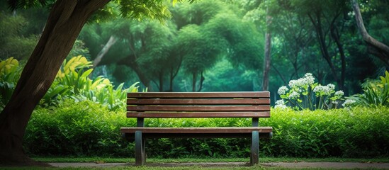 Poster - Street park bench and wooden floor A bench made of wood against the background of a lawn Urban interior A place to relax in the fresh air. Creative banner. Copyspace image