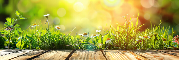 Wall Mural - empty a wooden table  on green grass, blurred nature bokeh in sunlight, Spring background and ,for product display montage	