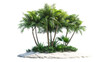 © PNG Kingdom  - Tropical tree with beach