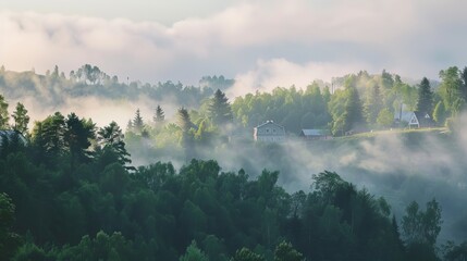 Wall Mural - Tranquil Hillside Near Village Shrouded in Morning Mist - Serene Rural Landscape