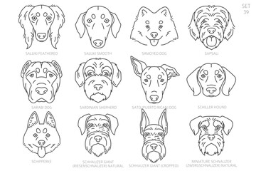 Wall Mural - Dog head Silhouettes in alphabet order. All dog breeds. Simple line vector design