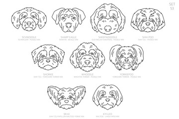 Wall Mural - Designers Dog head Silhouettes in alphabet order. All dog mix breeds. Simple line vector design