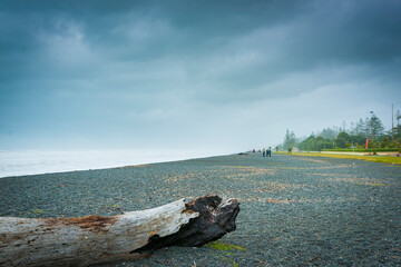 Wall Mural - Overcast morning beach scene in Hawkes Bay on Napier Esplanade beach