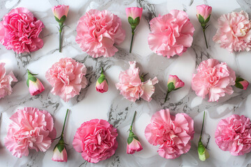 Sticker - A row of pink carnations are arranged on a marble surface