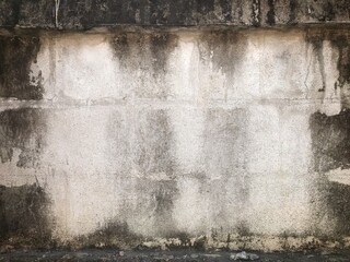 Wall Mural - Grung cement wall background and and texture. concrete background.