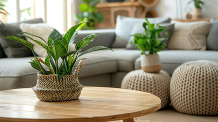 Canvas Print - Chic living room setup with a wooden coffee table displaying a houseplant and wicker basket, complemented by a comfortable grey sofa in the background.