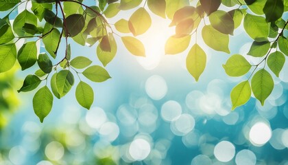 Wall Mural - blurred bokeh portrait background of fresh green spring summer foliage of tree leaves with blue sky and sun flare illustration