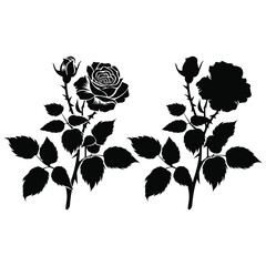 Rose silhouette. Decorative rose with leaves, Rose flower silhouette vector and illustration 