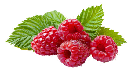 Canvas Print - Ripe raspberry,