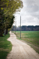 Wall Mural - Charles County Back Road 2