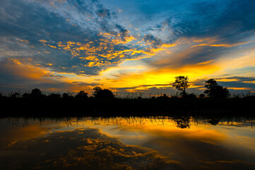Wall Mural - scenic view of beautiful sunrise or dawn above the pond or lake at spring or early summer morning wi