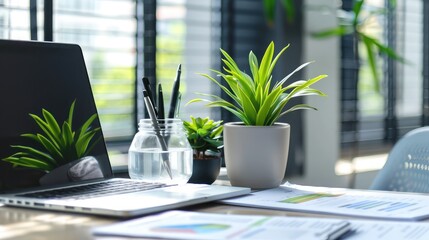 Wall Mural - Office desk with a plant, laptop, and financial reports, symbolizing a balanced and productive work environment