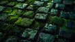 © Daniel - a close up shot of a moss covered brick wall