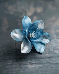 Wall Mural - A blue flower on the wooden table