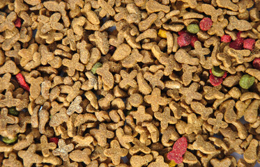 dry food for cats background. cat food texture