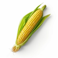 Sticker - corn on the cob isolated on white background