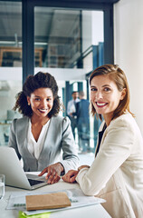 Aufkleber - Business, portrait and women in office together for research, teamwork and laptop with financial advisor. Strategy, confidence and people in b2b meeting for proposal, online planning and partnership