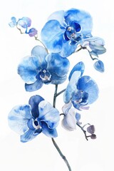 Sticker - Beautiful blue orchids painted in watercolor, perfect for home decor or floral themed designs