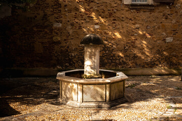 fountain in the garden