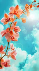 Wall Mural - Vibrant orchid flowers against a clear blue sky, showcasing natural beauty.