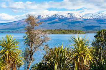 Wall Mural - Lake Rotoaira surrounded with natural vegetation and snowy mountains