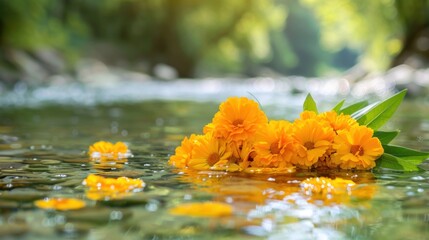 Wall Mural - Marigold flowers elegantly submerged in clear, flowing water, highlighting their vibrant and peaceful essence.