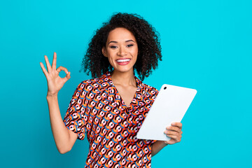 Poster - Photo of satisfied adorable woman with perming coiffure dressed blouse holding tablet show okey approve isolated on blue color background