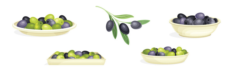Wall Mural - Olives with Branch and Pile in Bowl Vector Set