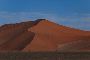 Wall Mural - the world's largest sand dunes in Namibia, Africa, sunset colors	