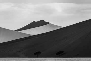 Wall Mural - the world's largest sand dunes in Namibia, Africa,  Black and white