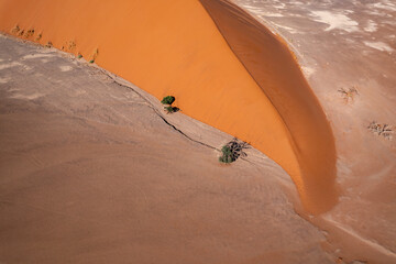 Wall Mural - the world's largest sand dunes in Namibia, , Dune 45 drone photo