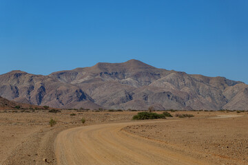 Wall Mural - wilderness of the Namib desert, Namibia Africa	