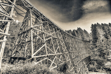 Poster - View of restored historic railroad bridge Kinsol Trestle (Koksilah River Trestle) made of wooden boards - Vancouver Island.