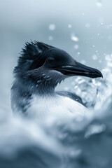 Wall Mural - Abstract portrait of a great auk with flowing, wave-like patterns in cool blues and whites,