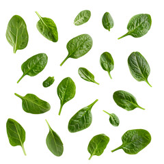 Spinach leaves isolated on transparent background Generative Ai.

