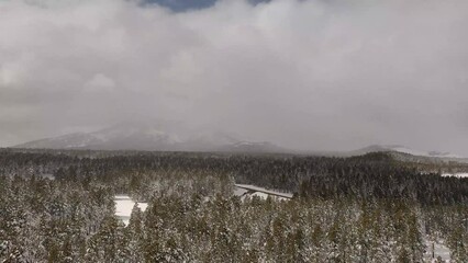 Wall Mural - Flying over a wilderness covered in snow with pine trees and mountains.  A winter wonderland.